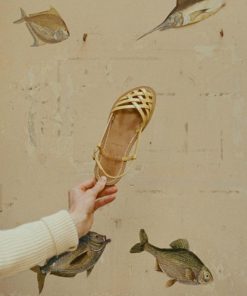 Foxwear.shopbd062cdeb6 2